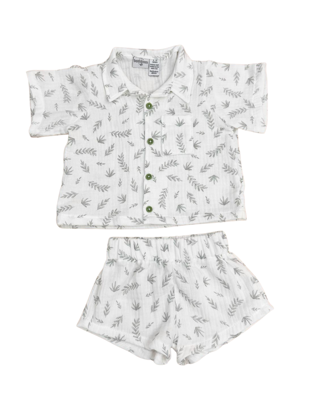 Imagen de diapositiva