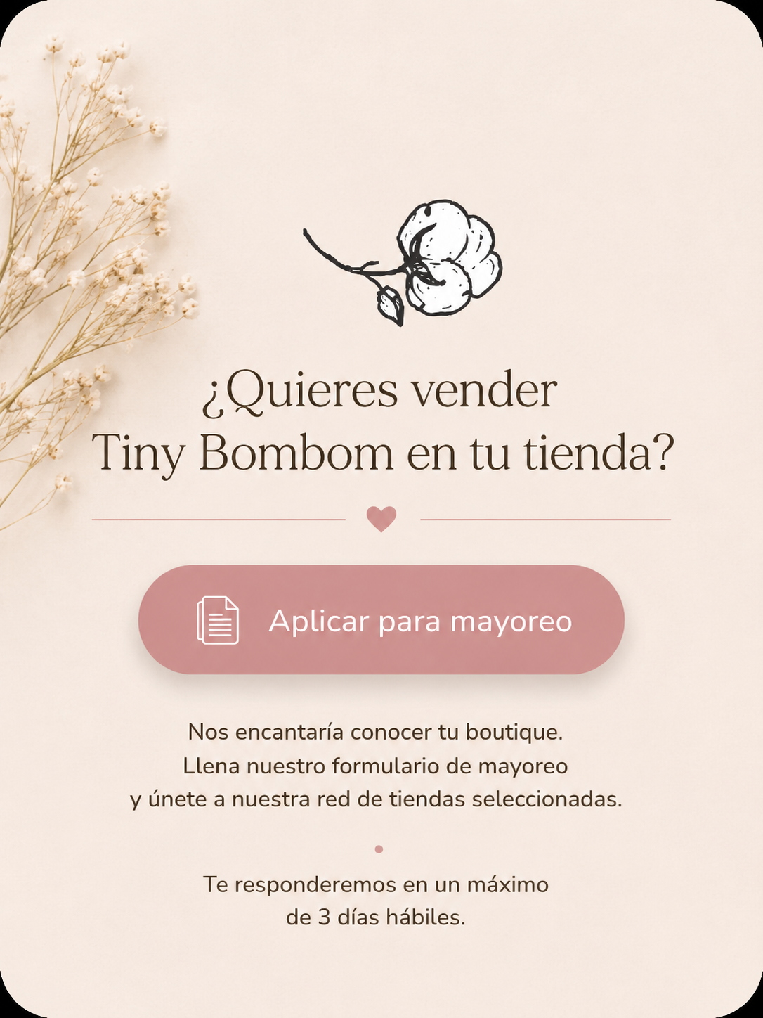 Imagen de diapositiva